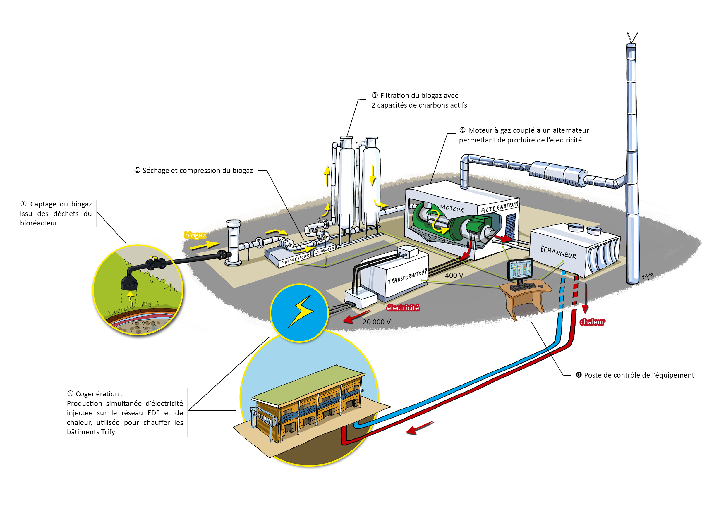 La production d’électricité et de chaleur à partir des déchets Trifyl